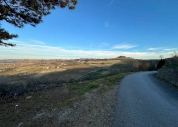 Terreno - Rustico Località Sant'Anna, Monforte d'Alba - foto 18