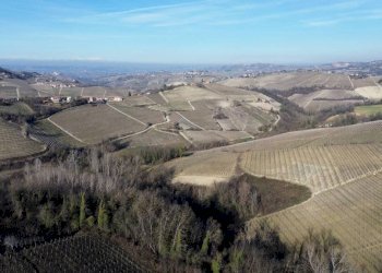 Vista - Rustico Località Sant'Anna, Monforte d'Alba - foto 25