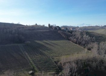 Vista - Rustico Località Sant'Anna, Monforte d'Alba - foto 29