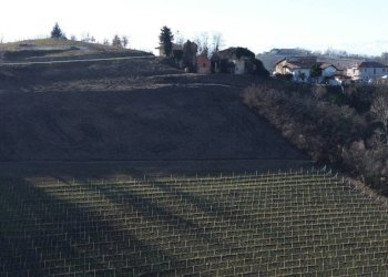 Vista - Rustico Località Sant'Anna, Monforte d'Alba - foto 31