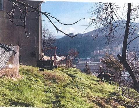 Terreno - Appartamento all'asta via Pino di Murta, 9, Genova (zona Bolzaneto) - foto 3