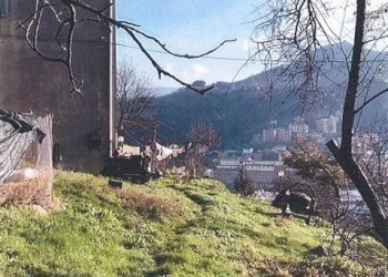 Terreno - Appartamento all'asta via Pino di Murta, 9, Genova (zona Bolzaneto) - foto 3