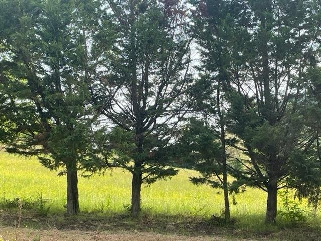 Terreno edificabile VIA ZENA 90, Pianoro - foto 1