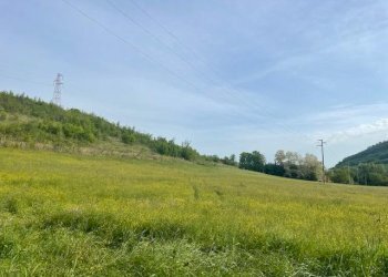 Terreno edificabile VIA ZENA 90, Pianoro - foto 2