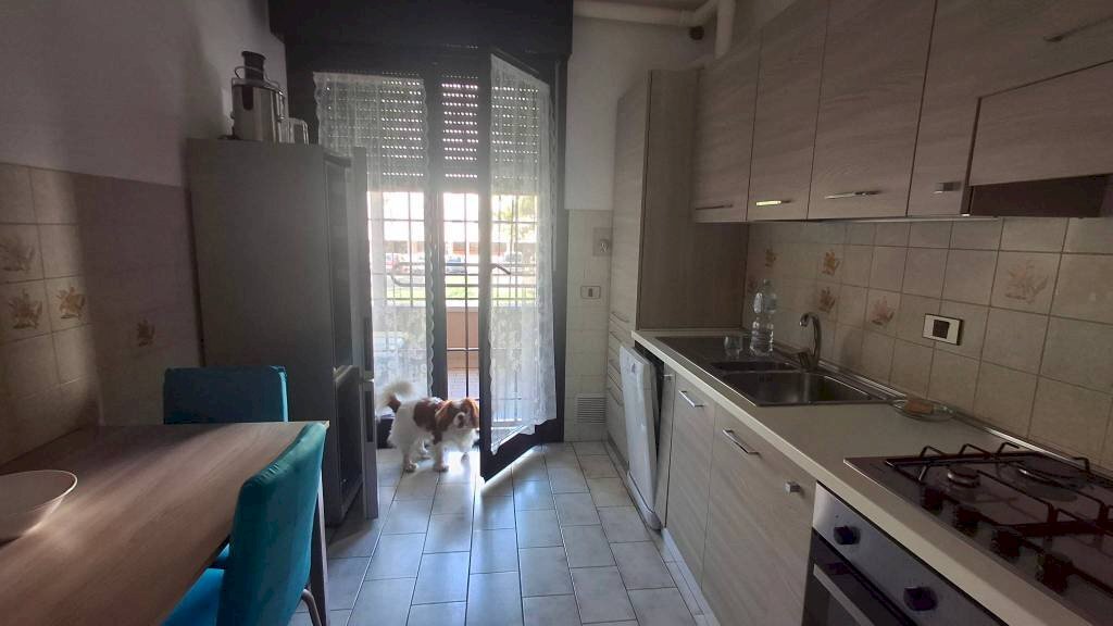 Cucina - Quadrilocale via Alessandro Corticelli, 29, Bologna (zona Mazzini) - foto 1