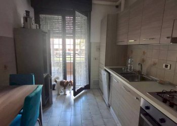 Cucina - Quadrilocale via Alessandro Corticelli, 29, Bologna (zona Mazzini) - foto 1