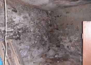 Cantina - Casa indipendente via Sant'Abbondio, Tresivio - foto 13