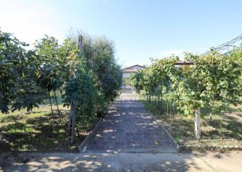 Giardino - Villa via Tipano, Cesena - foto 32