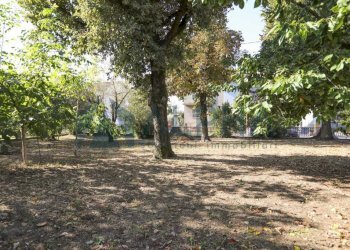 Giardino - Villa via Tipano, Cesena - foto 33