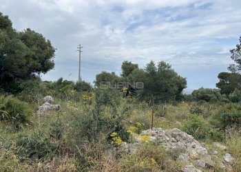 Foto 7 - Agricultural land CUGNI, Noto - photo 7