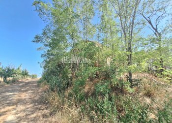 Foto 5 - Rustic contrada collenavicchio, Monteprandone - photo 5