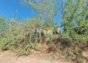 Foto 6 - Rustic contrada collenavicchio, Monteprandone - photo 6