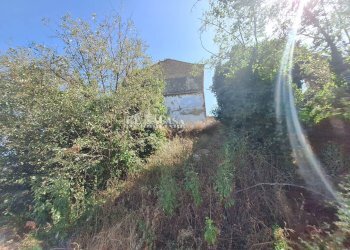 Foto 11 - Rustic contrada collenavicchio, Monteprandone - photo 11