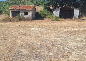 Foto 6 - Rustic contrada collenavicchio, Monteprandone - photo 6