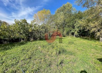 Foto 15 - Casa indipendente C.da Bosco Perrotta San Nicola Manfredi, Benevento - foto 15