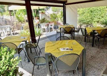 Terrazza - Attività Commerciale Oggebbio - foto 3