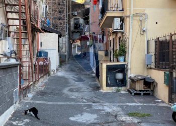 Edificio all\'aperto - Box Via Garibaldi
 
269, Catania - foto 9