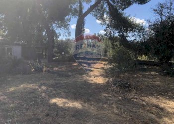 Giardino - Appartamento via santa margherita
 
80, Misterbianco - foto 6