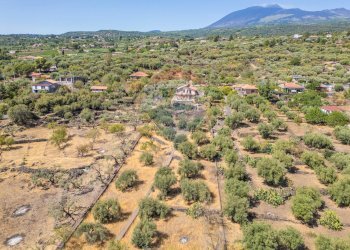 Vista delle montagne - Villa C.da Iazzo Vecchia Strada Serafica
 
5, Santa Maria di Licodia - foto 43