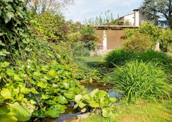 Giardino - Quadrilocale Via Aretina
 
338, Montevarchi - foto 29