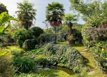 Giardino - Quadrilocale Via Aretina
 
338, Montevarchi - foto 31