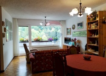 Sala da pranzo - Trilocale Piazzale Nevegal
 
225, Belluno - foto 3