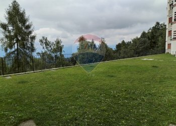 Giardino - Trilocale Piazzale Nevegal
 
225, Belluno - foto 17