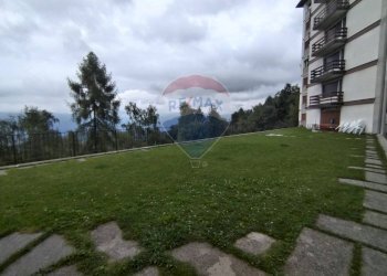 Giardino - Trilocale Piazzale Nevegal
 
225, Belluno - foto 20