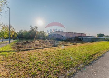 Giardino - Capannone MARINI, Fagnano Olona - foto 2