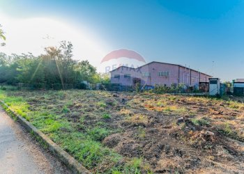 Giardino - Capannone MARINI, Fagnano Olona - foto 10