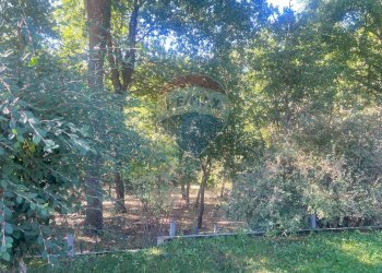 Giardino - Villa C.da Lazzarice
 
snc, Toro - photo 18