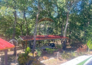 Giardino - Villa C.da Lazzarice
 
snc, Toro - photo 29