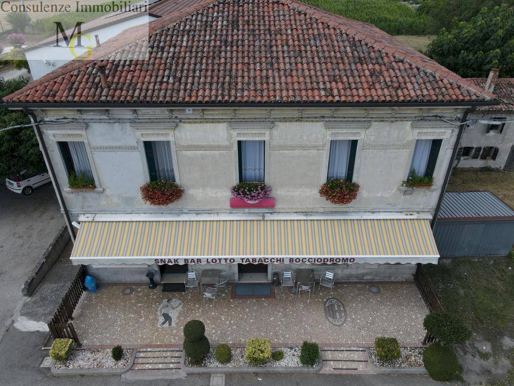 Foto 3 - Bar Tavola Calda - Fredda Montagnana - foto 3