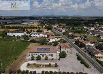 Foto 4 - Bar Tavola Calda - Fredda Montagnana - foto 4