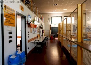 Foto 11 - Bar Tavola Calda - Fredda Montagnana - foto 11