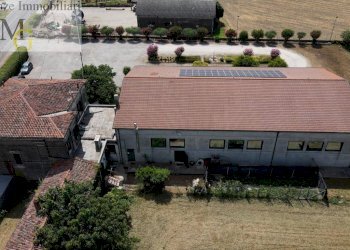 Foto 24 - Bar Tavola Calda - Fredda Montagnana - foto 24