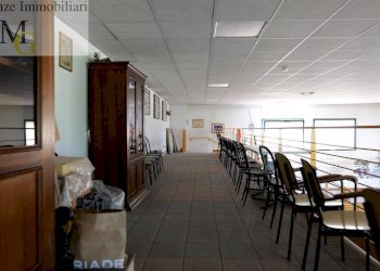 Foto 14 - Bar Tavola Calda - Fredda Montagnana - foto 14