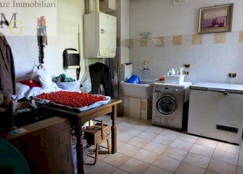 Foto 23 - Bar Tavola Calda - Fredda Montagnana - foto 23