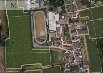 Foto 26 - Bar Tavola Calda - Fredda Montagnana - foto 26