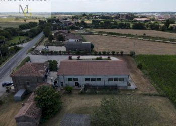 Foto 25 - Bar Tavola Calda - Fredda Montagnana - foto 25