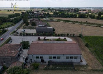 Foto 27 - Bar Tavola Calda - Fredda Montagnana - foto 27