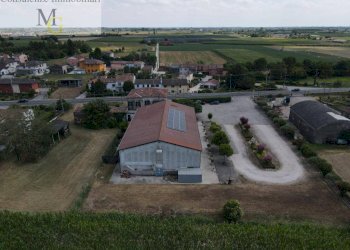 Foto 28 - Bar Tavola Calda - Fredda Montagnana - foto 28