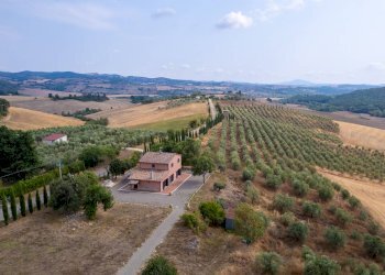 Foto 1 - Azienda agricola Strada delle Torricelle
 
snc, Scansano - foto 1