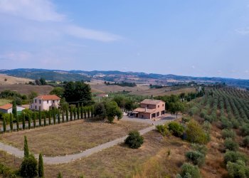 Foto 4 - Azienda agricola Strada delle Torricelle
 
snc, Scansano - foto 4