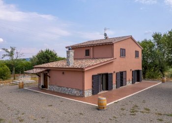 Foto 5 - Azienda agricola Strada delle Torricelle
 
snc, Scansano - foto 5