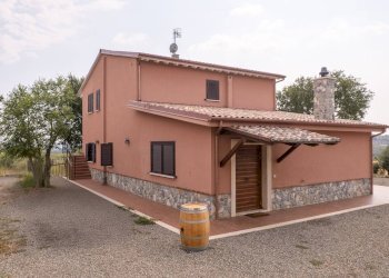 Foto 3 - Azienda agricola Strada delle Torricelle
 
snc, Scansano - foto 3