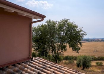 Foto 2 - Azienda agricola Strada delle Torricelle
 
snc, Scansano - foto 2