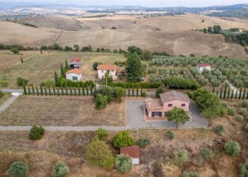 Foto 10 - Azienda agricola Strada delle Torricelle
 
snc, Scansano - foto 10