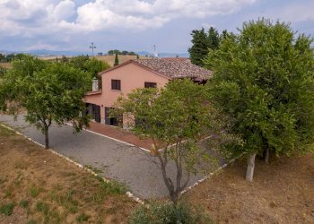 Foto 12 - Azienda agricola Strada delle Torricelle
 
snc, Scansano - foto 12