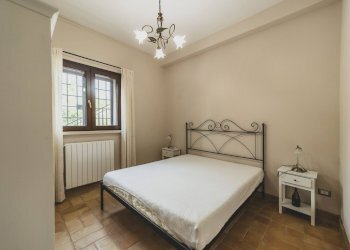 Foto 24 - Azienda agricola Strada delle Torricelle
 
snc, Scansano - foto 24